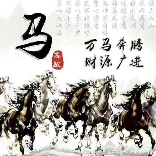 马的微信头像 微信头像图片大全