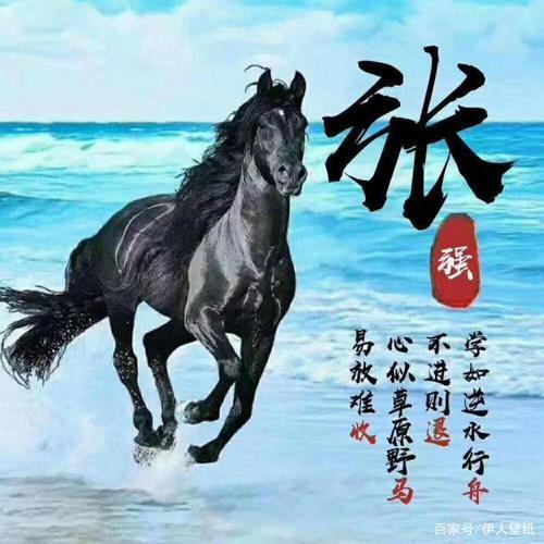 马的微信头像 微信头像图片大全