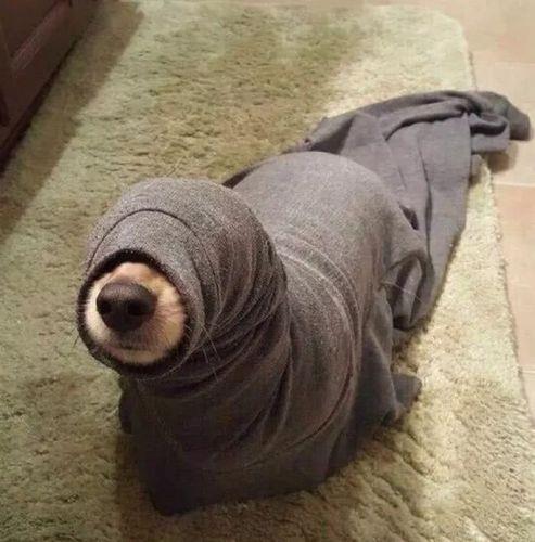 沙雕男生头像 头像图片男生沙雕