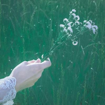 风景头像女生 女生头像风景图片唯美自然风景图片