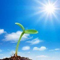 用什么做微信头像最好 可以做微信头像的图片