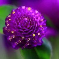 用什么做微信头像最好 可以做微信头像的图片