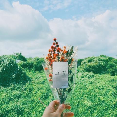 qq头像风景 qq头像风景图片大全星空