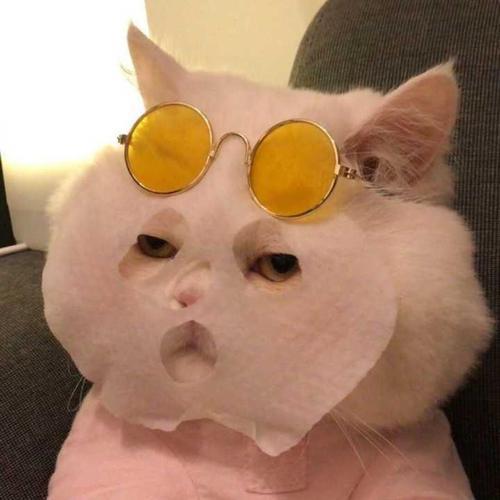 可爱沙雕头像 好看可爱沙雕头像