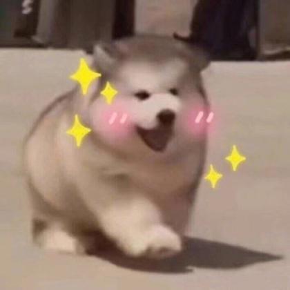 可爱沙雕头像 好看可爱沙雕头像