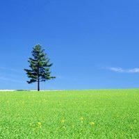 最新最好看的微信头像 最新最好看的微信头像大全