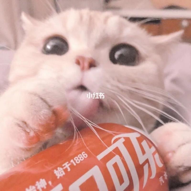 三人闺蜜头像一人一张 闺蜜的头像三人一人一张的