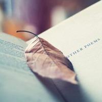 微信头像下载 微信头像下载免费图片图库