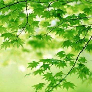 风景头像图片 风景头像风景图片