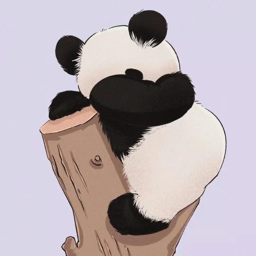 超可爱的国宝熊猫图片超萌手绘头像