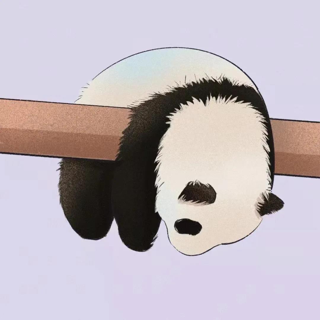 超可爱的国宝熊猫图片超萌手绘头像