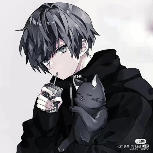 高冷动漫头像男 男动漫图片高冷头像高清