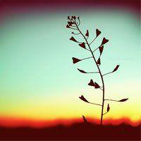 微信头像图片好看 最好看的微信头像图片精选