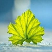 微信头像图片好看 最好看的微信头像图片精选