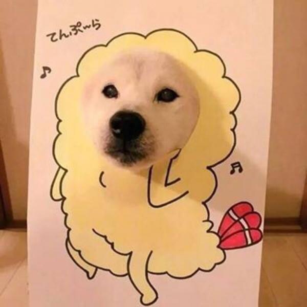 奥特曼情侣头像 奥特曼怪兽情头情侣头像