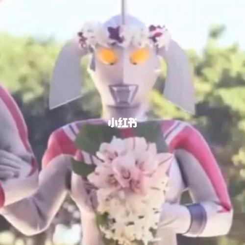 奥特曼情侣头像 奥特曼怪兽情头情侣头像