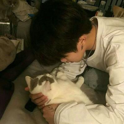 猫咪头像男生用 qq猫咪头像的男生头像