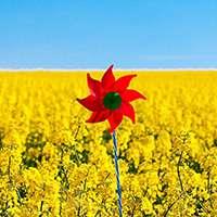 适合40岁女人的微信头像 适合40岁女人头像图片微信