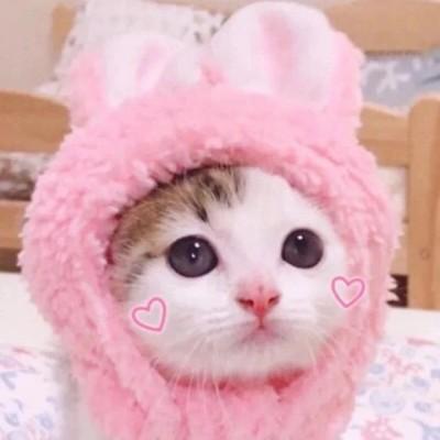 微信头像可爱呆萌 微信头像呆萌可爱女生