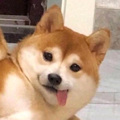 好看的图片头像 非常好看的头像图片