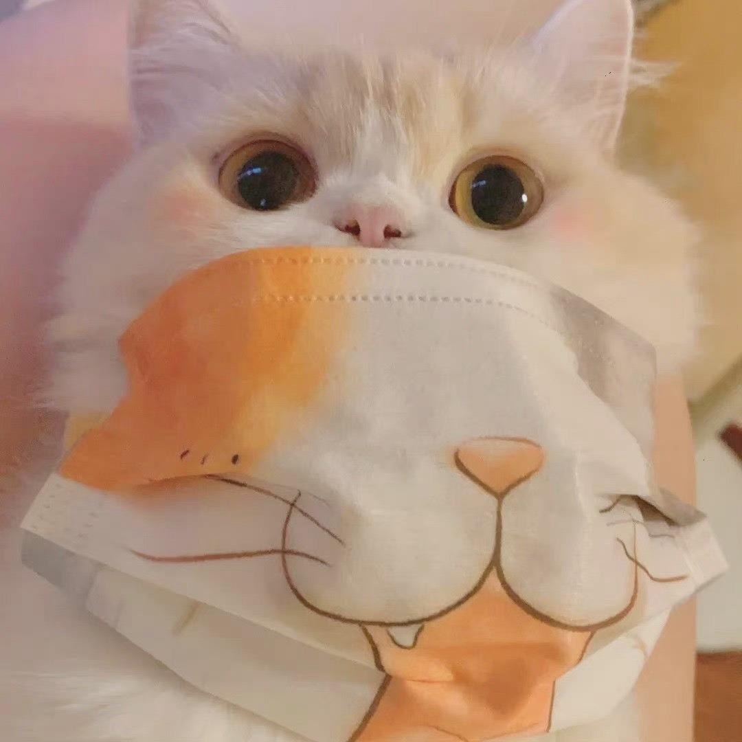 2022可爱猫咪情侣头像一对两张 虎年猫咪情头
