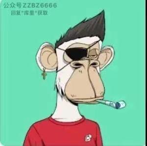 库里头像猴子 库里头像猴子图片情侣