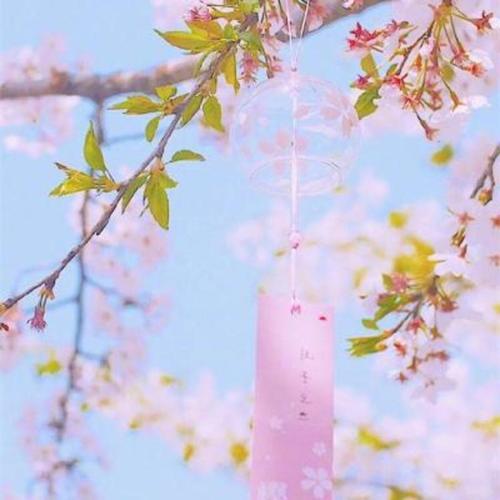 图片头像清新 清新的头像