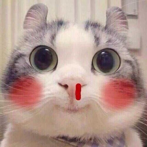 可爱又不失沙雕的头像 可爱又不失沙雕的头像女