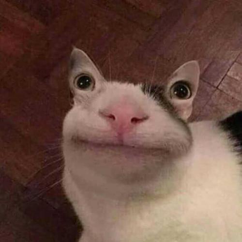 可爱又不失沙雕的头像 可爱又不失沙雕的头像女