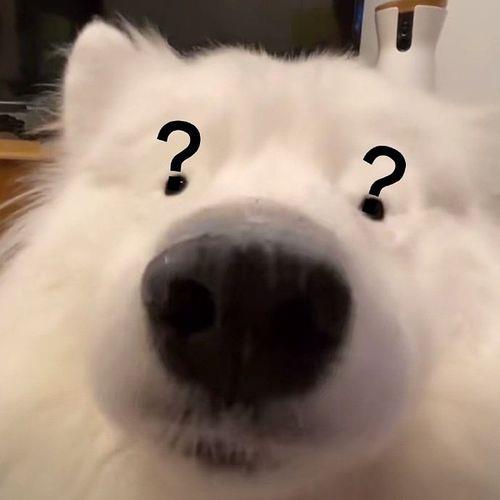 可爱又不失沙雕的头像 可爱又不失沙雕的头像女