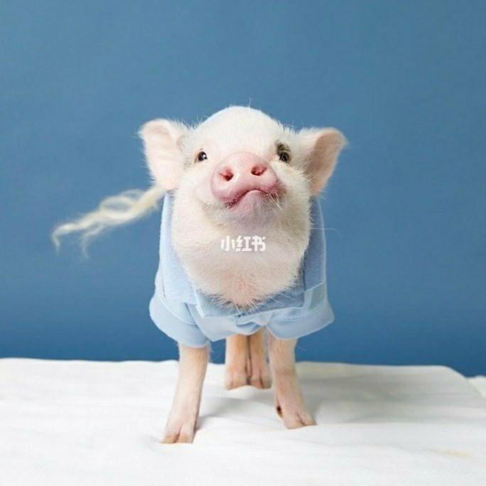 闺蜜头像两人可爱 闺蜜2人可爱萌的头像图片