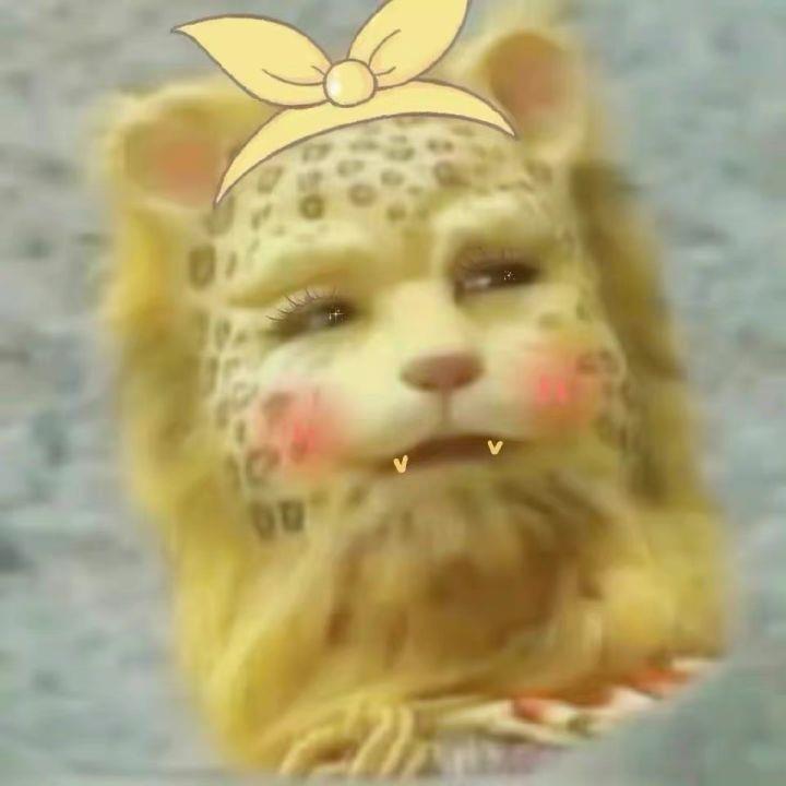 2022新年专属西游记金钱豹头像图片发财暴富