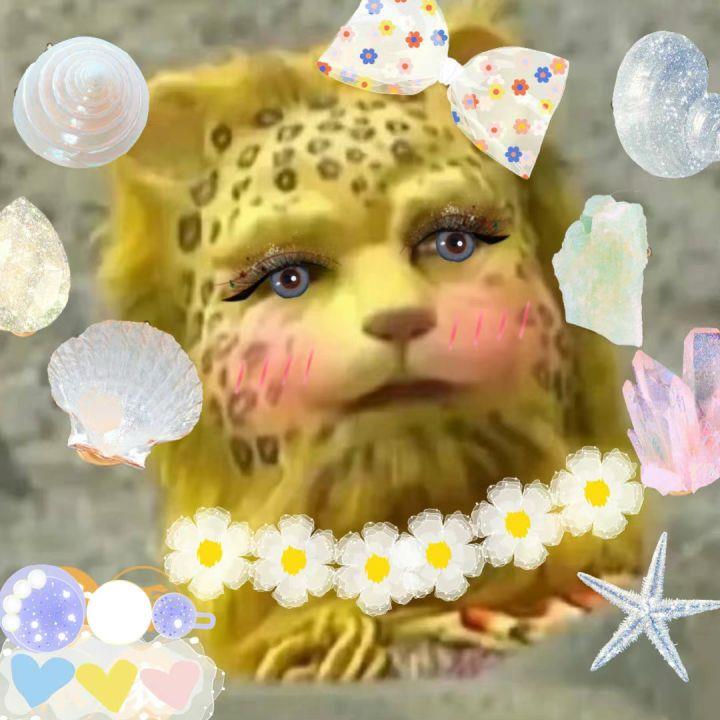 2022新年专属西游记金钱豹头像图片发财暴富