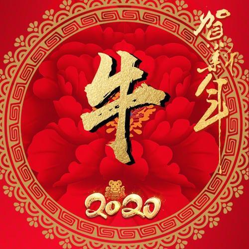 2022新年图片头像微信 2022最新图片头像