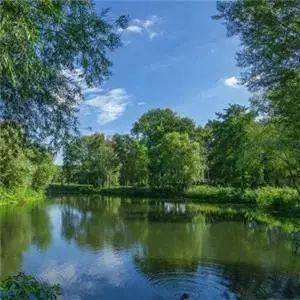 特别好看风景头像 好看的头像风景优美的图片