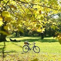 特别好看风景头像 好看的头像风景优美的图片