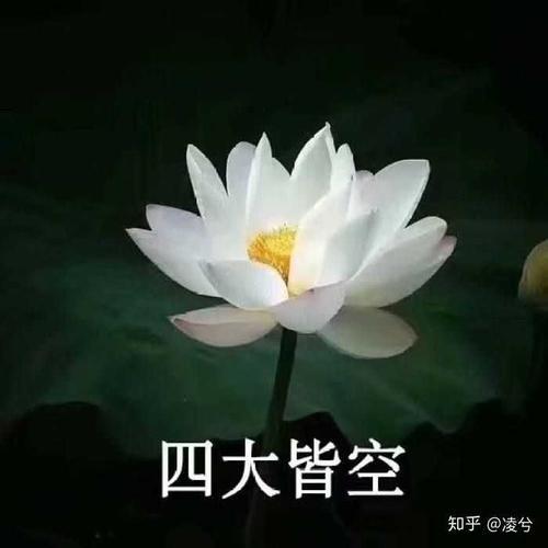 老年人专用微信头像 老年人专用头像微信
