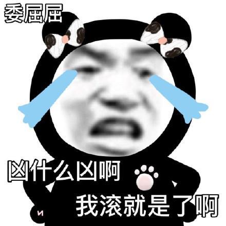 熊猫头沙雕表情包 沙雕表情包图片熊猫人