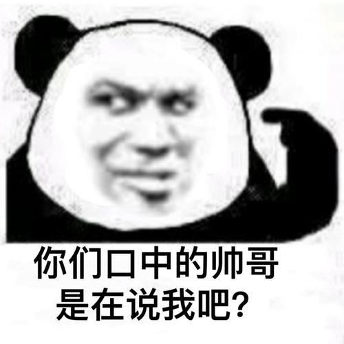 熊猫头沙雕表情包 沙雕表情包图片熊猫人