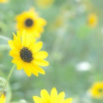头像图片风景 头像图片风景图片星空