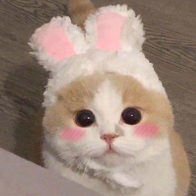 微信头像可爱 女人最适合的微信头像可爱图片