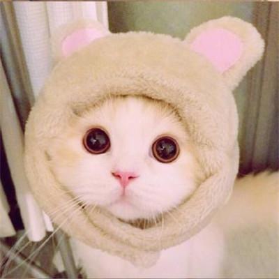 微信头像可爱 女人最适合的微信头像可爱图片