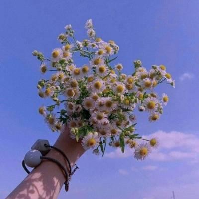 40一45岁女人微信头像风景 四十岁女人微信头像图片