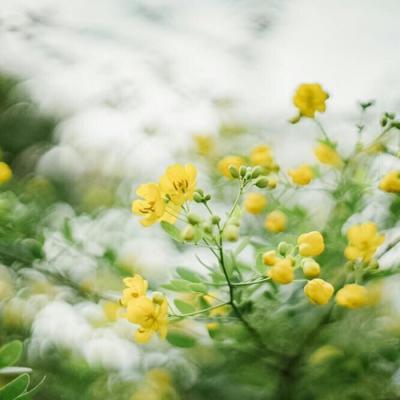 40一45岁女人微信头像风景 四十岁女人微信头像图片