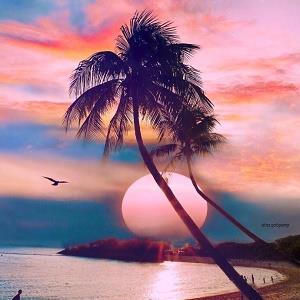 40一45岁女人微信头像风景 四十岁女人微信头像图片