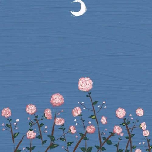 2022最新微信头像 2022年微信头像