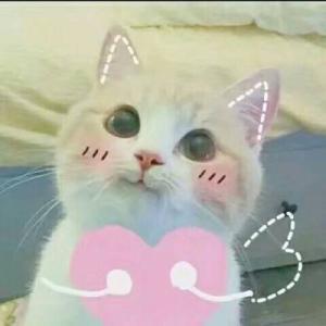 猫咪图片大全可爱头像 可爱猫咪咪的头像图片