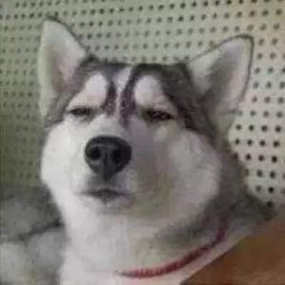 搞笑头像图片逗比 逗比微信头像搞笑图片搞怪