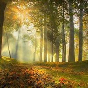 适合做微信头像的照片 适合做微信头像的图片唯美个性