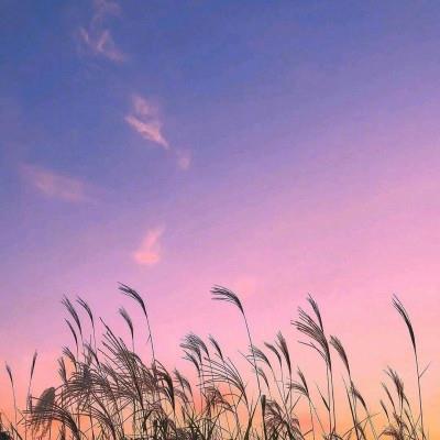 微信头像风景 微信头像风景图片2022最新款